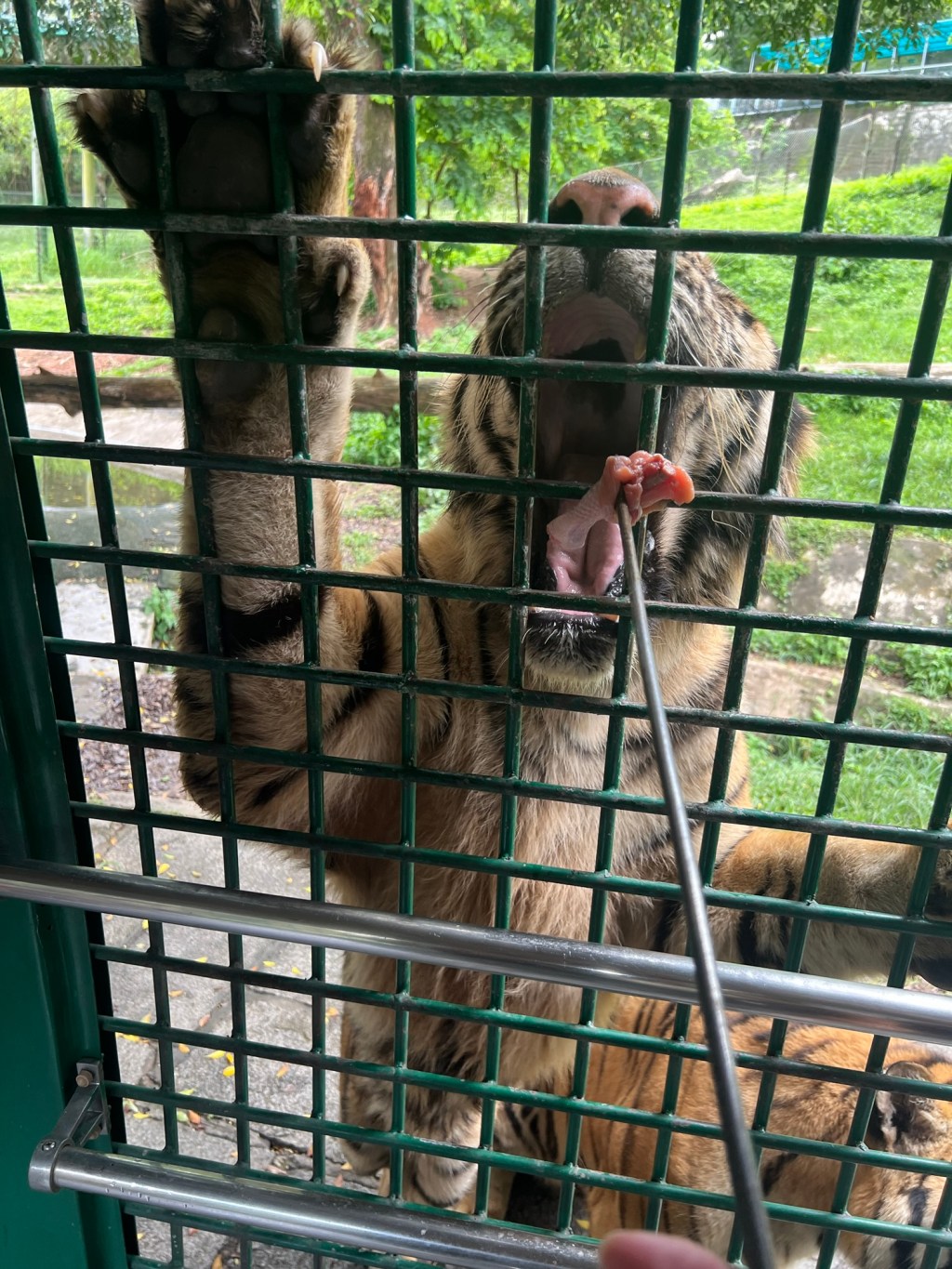 《百萬真倉》Day 39｜7月第一戰：雖然港休，但我終於止血．2025下半年，我要馬到成功！